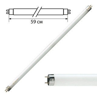 Лампа люминесцентная L 36W/765 G13 дневного цвета